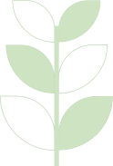 Stilisierte Pflanze mit Blättern